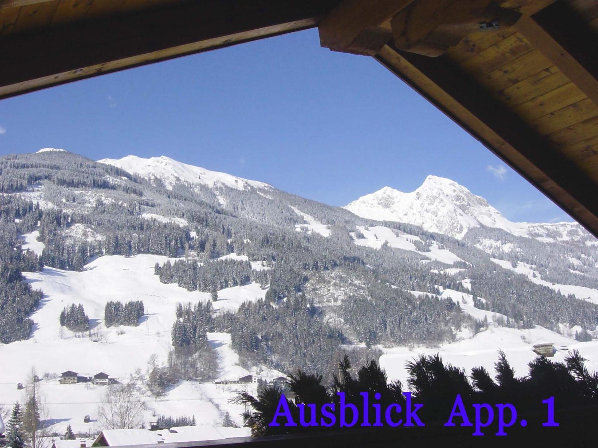 Gaestehaus Alpina Dorfgastein Dış mekan fotoğraf