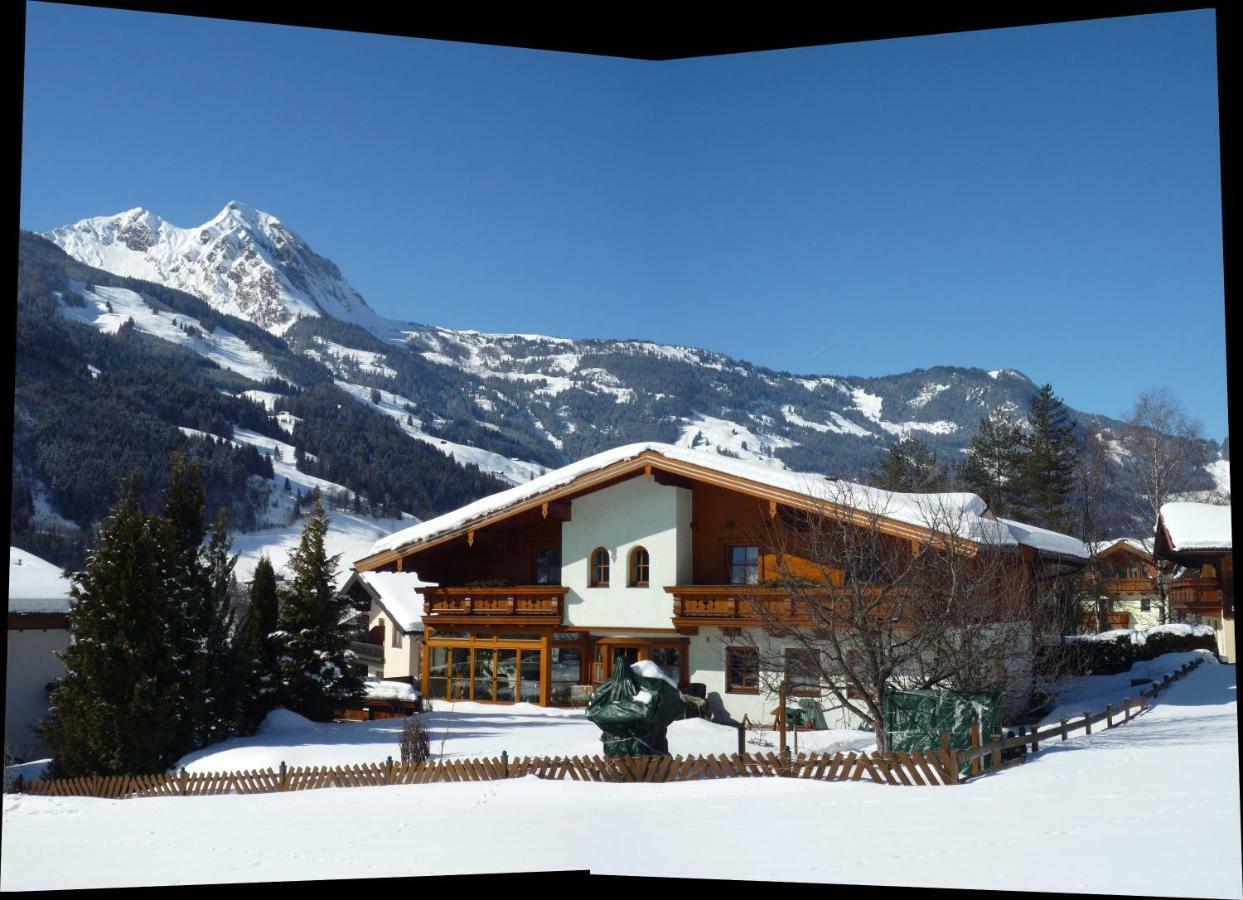 Gaestehaus Alpina Dorfgastein Dış mekan fotoğraf
